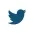 Twitter ikona